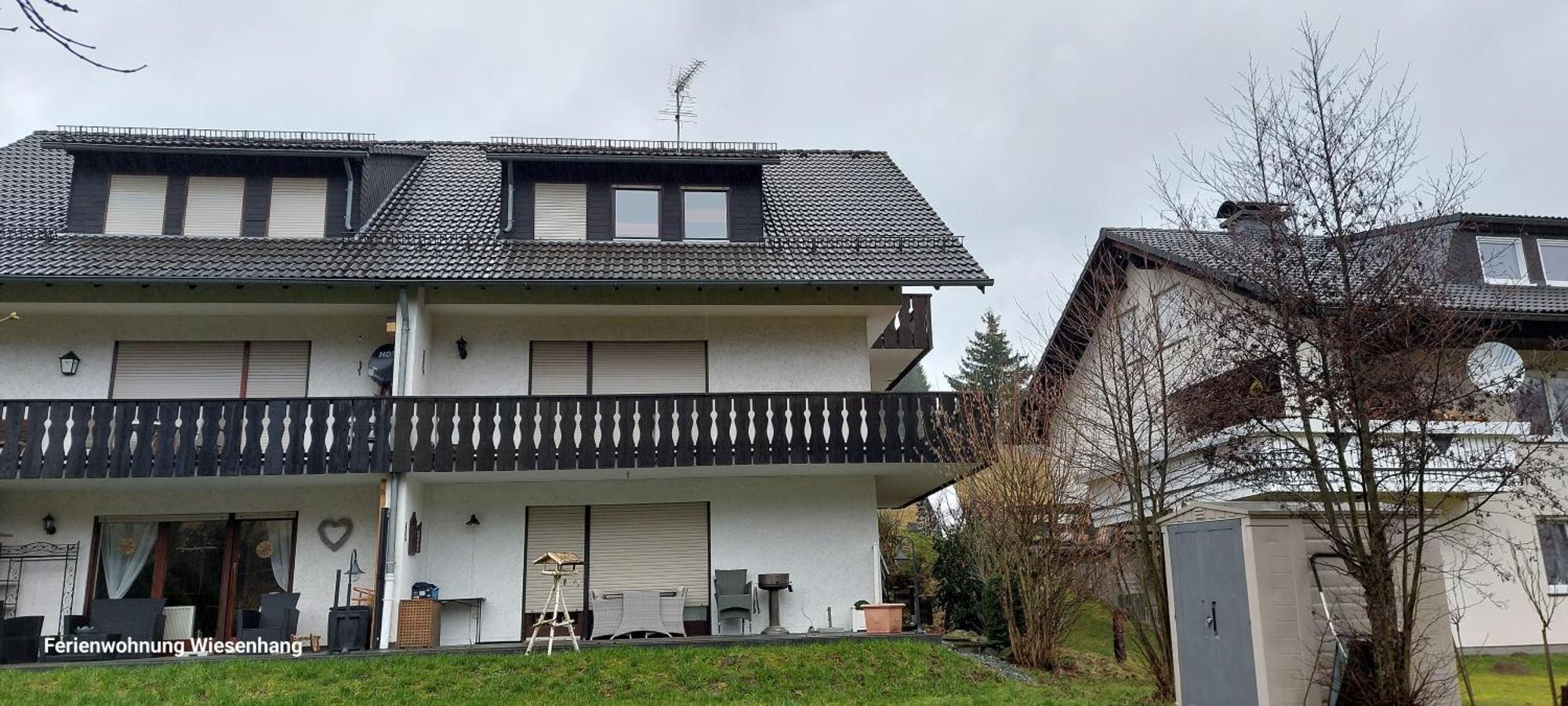 Ferienwohnung Wiesenhang Winterberg Esterno foto